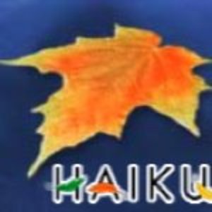 “Haiku Podcast Team”的封面
