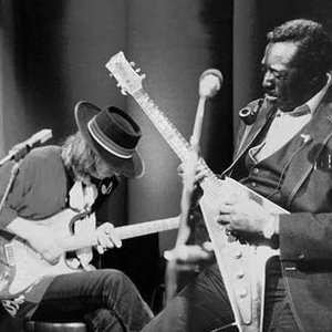 Albert King/Stevie Ray Vaughan 的头像