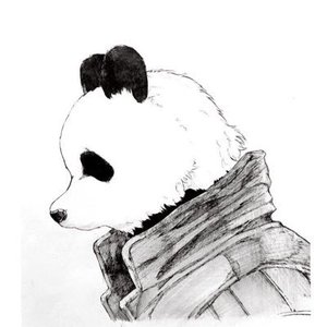 パンD 的头像