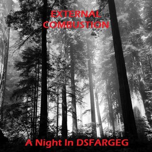 “A Night In DSFARGEG”的封面