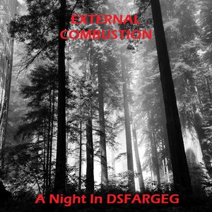 Image for 'A Night In DSFARGEG'