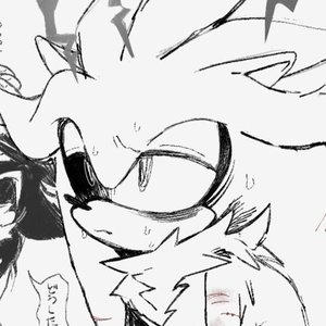 Avatar for shinomiyaa
