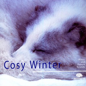 Cosy Winter