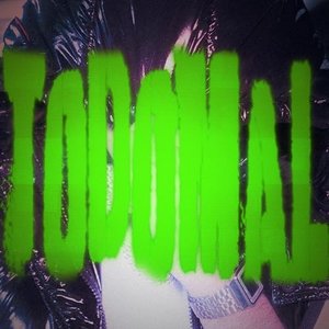 TODOMAL - Single