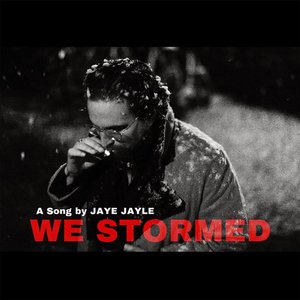 We Stormed - Single