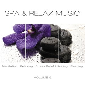 SPA & Relax Music, Vol. 5