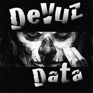 “DeVuzData”的封面