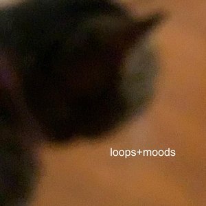 loops+moods