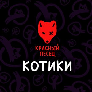 Котики