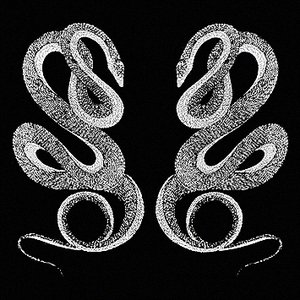Free Serpents