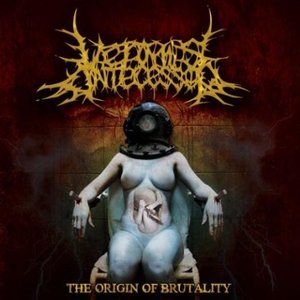 The Origin of Brutality