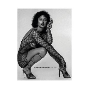I Feel You (incl. Mudd Remixes)