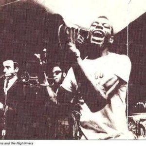 Immagine per 'Herbie Goins & The Nightimers'