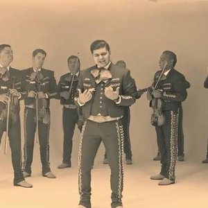 Avatar for Mariachi Los Toritos