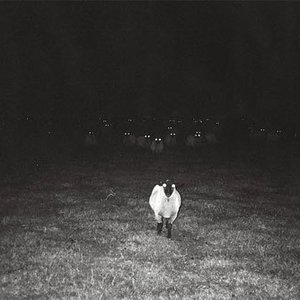 Sheepdog 的头像