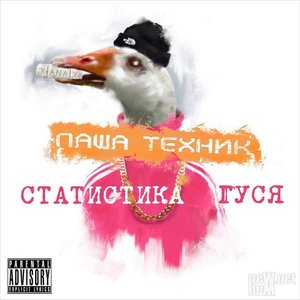 Статистика гуся, Часть 1