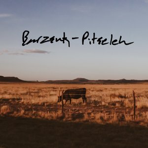 Barzsuk