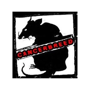 Cancerbreed 的头像