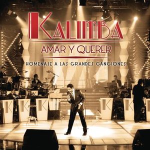 Immagine per 'Amar y Querer (Homenaje a Las Grandes Canciones)'