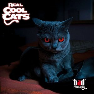 Real Cool Cats