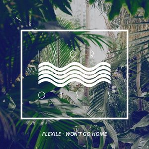 Won't Go Home - Single