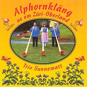 Alphornkläng us em Züri-Oberland