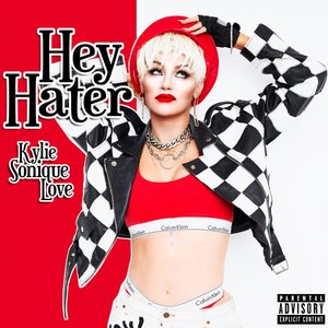 Hey Hater - Single