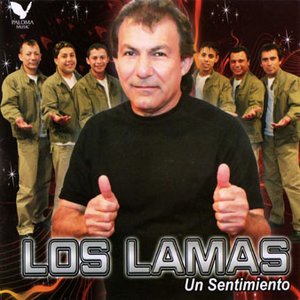 “los lamas”的封面