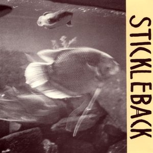 Stickleback