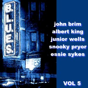 The Blues  Volume 5