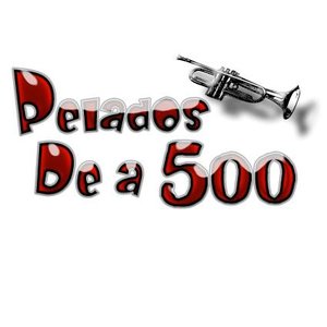 Pelados de a 500 的头像