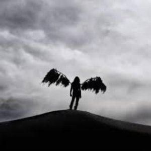 Her Dark Heaven 的头像