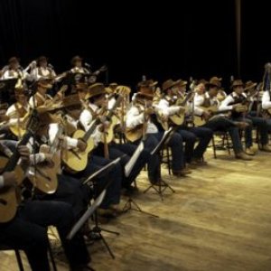 Orquestra Paulistana de Viola Caipira 的头像