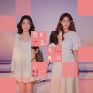 微陌生的朋友 - Single