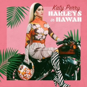 Изображение для 'Harleys in Hawaii'