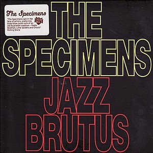 Jazz Brutus