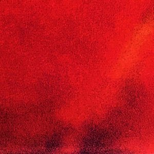 ドナーたち - Single
