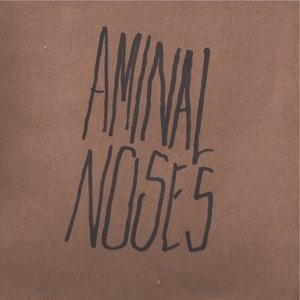 Aminal Noses