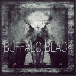 BAD WOLVES - Buffalo Black Lp - Zortam Music