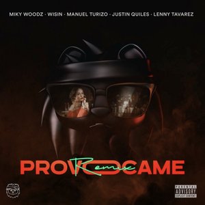 Provócame (Remix)