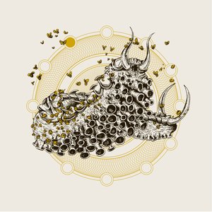 Dead Elephant / Rabbits Split