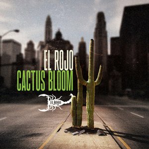Cactus Bloom
