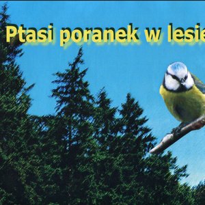 “Singing Birds of Poland”的封面