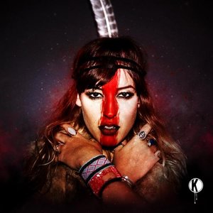 Apashe & Black Tiger Sex Machine 的头像