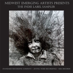 Midwest Emerging Artists Label Sampler