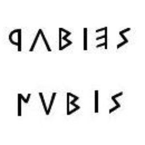 “Rabies Nubis”的封面