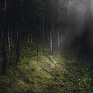Natural Death (Earth)
