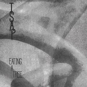 Eating A Tree