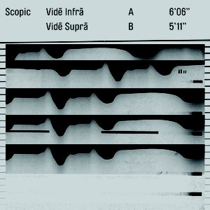 «vide Infra, Vide Supra»