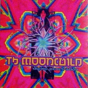 Tb-Moonchild 的头像